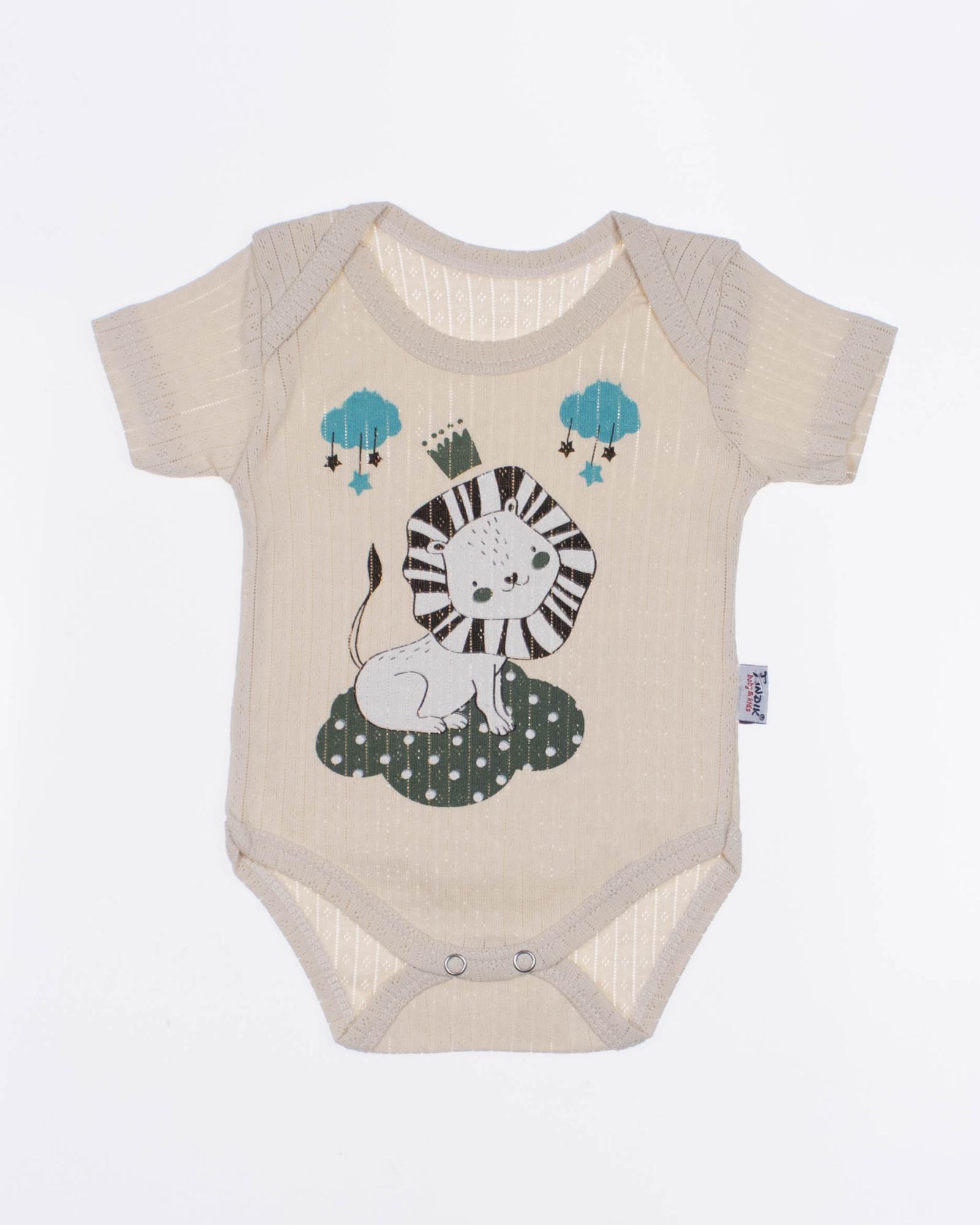 FINDIK 12470 Боди FINDIK 12470 Боди фото