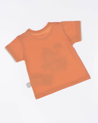 2024_03_18_0086961 2024_03_18_0086961